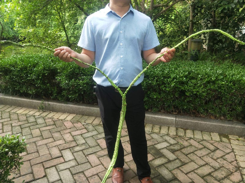 KERUIDENG Flexible Bend-A-Branch Reptile Vinesï¼ŒTerrarium Decor,Long Jungle Climber Vines Habitat Decor for Chameleon Climbing Lizards Snakes and More Small Animals - Image 4